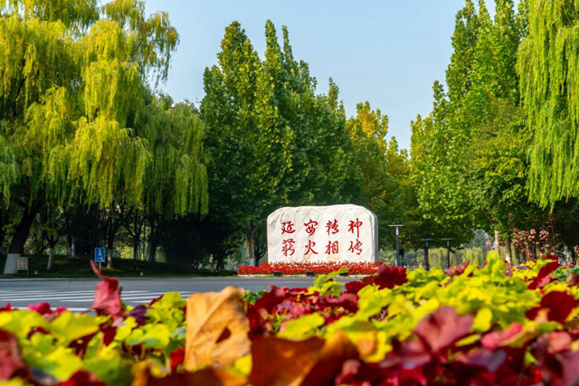微信图片_2026-01-15_113458_759.jpg